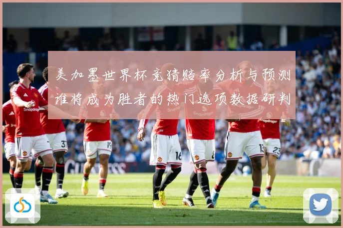 美加墨世界杯竞猜赔率分析与预测谁将成为胜者的热门选项数据研判-深度解析